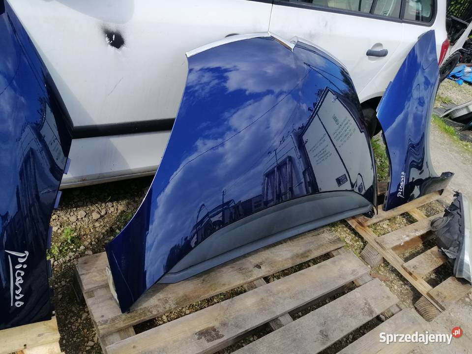 Citroen C4 Picasso błotniki maska zderzak xenon