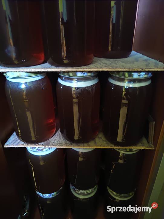 sprzedam miód wielokwiatowy i spadziowy z Lechów