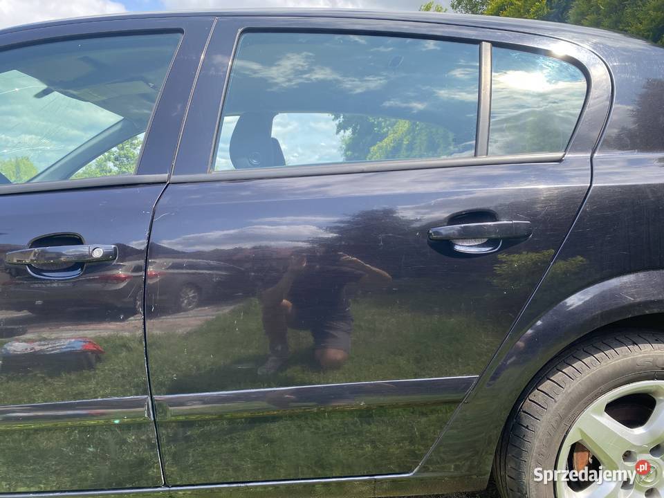 Sprzedam drzwi tylne lewe Opel Astra H Z20R osobowe śląskie