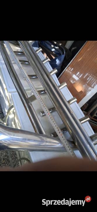 Baranek oryrobanie busa