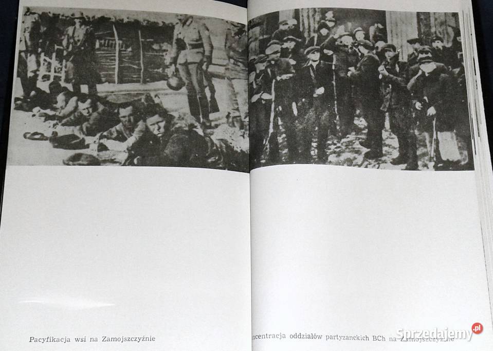 Kryptonim Żegota M Arczyński W Balcerak Kultura i Rozrywka Chełm