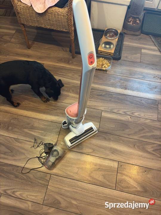 Odkurzacz pionowy akumulatorowy Argos wysyłka AGD drobne Wiśniowa Góra