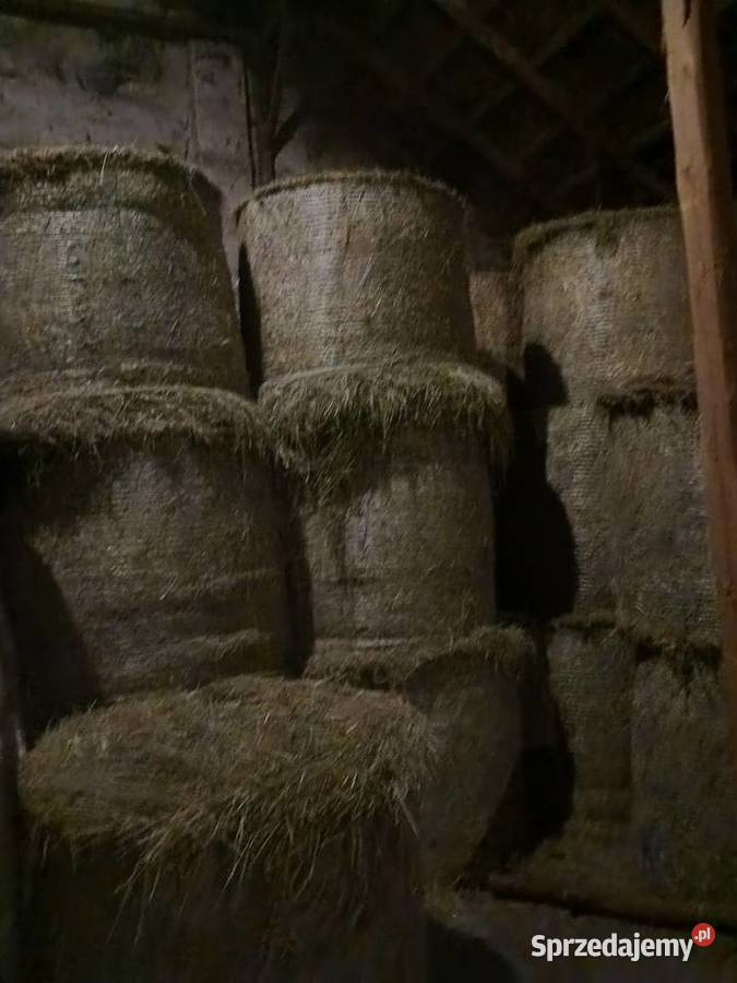 Sprzedam siano Sieradz sprzedam