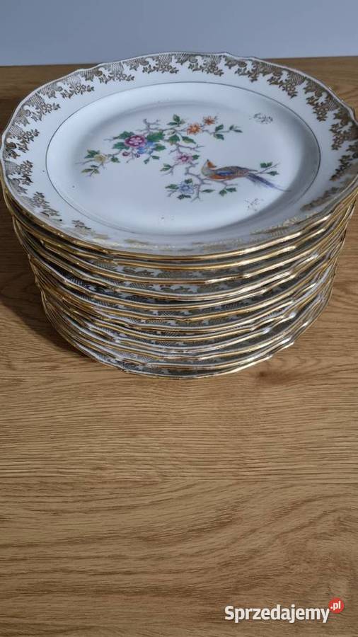Talerze Z Rajskim Ptakiem Płytkie Porcelana Wola Podłężna