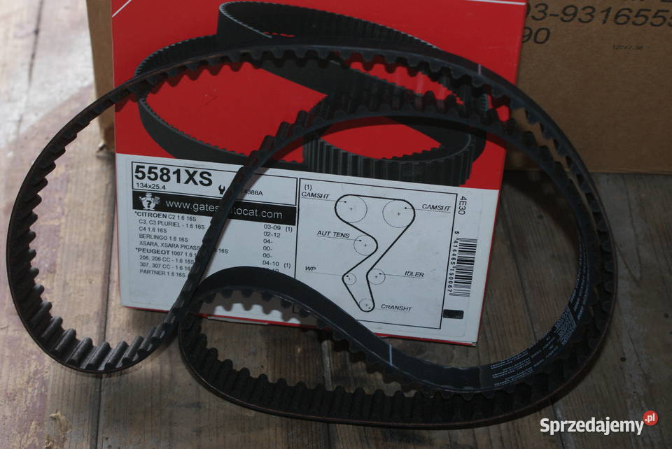 GATES PASEK ROZRZ134Z BERLINGOPARTNER 00 5581XS Białobrzegi