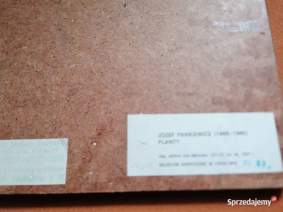 Planty Józef Pankiewicz 18661940 obraz