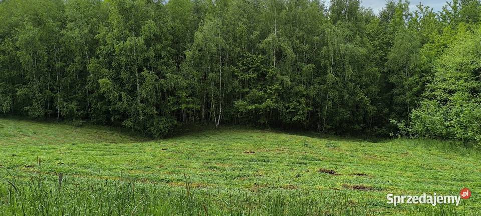 Działka rolno rekreacyjna 41arów Błażowa