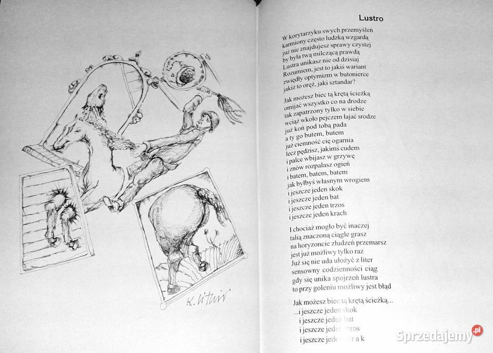 Jeszcze tańczą ogrody Jerzy Mamcarz Krzysztof Chełm sprzedam