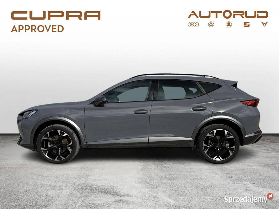Cupra Formentor 15TSI 150 DSG 2024 Bezwypadkowy świętokrzyskie Kielce
