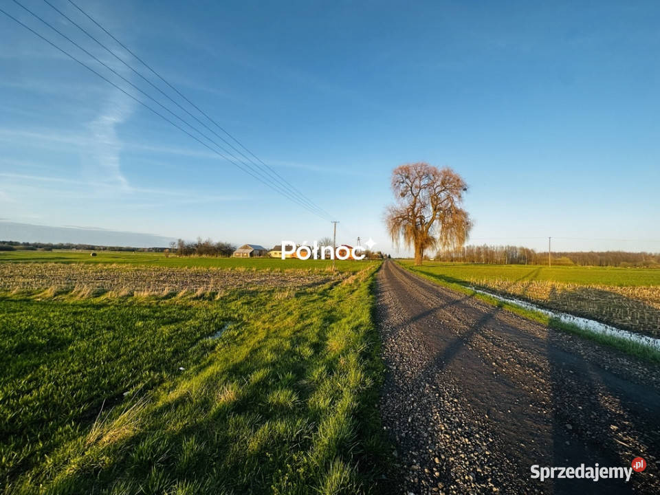Działka rolnobudowlana 132ha w miejsciwisci Żali rolna Żalin sprzedam