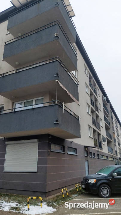 Lokal na Wynajem Wrocław dolnośląskie