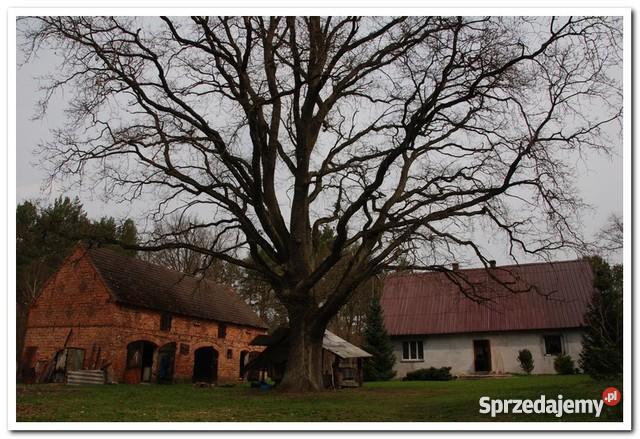 sprzedaży domu 100m2 Prądówka sprzedam