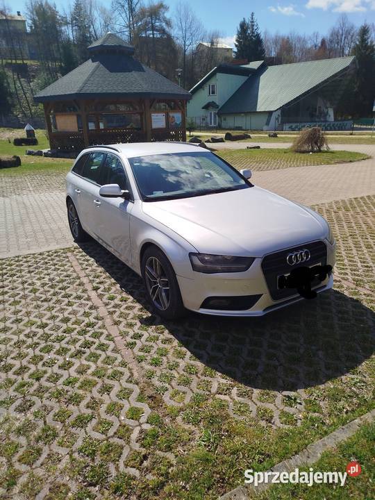 Sprzedam śląskie Żywiec