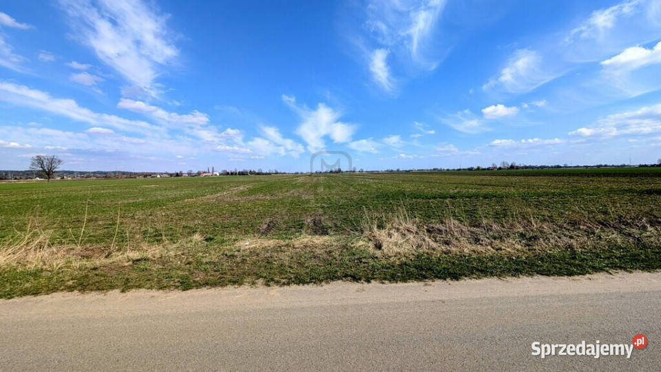 Grunt 449 ha z koncepcją 5 domów Jenin lubuskie