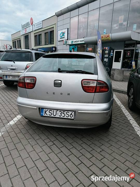 SEAT Leon Zawodowiec 19 TDI 110 Leon Bierawa