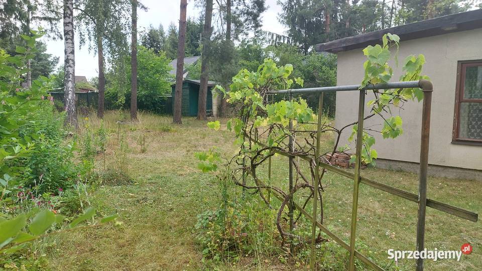 Sprzedam działkę z domkiem letniskowym Goławice Pierwsze