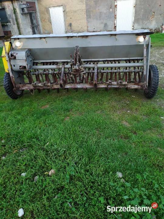 Siewnik poznaniak Dębówiec