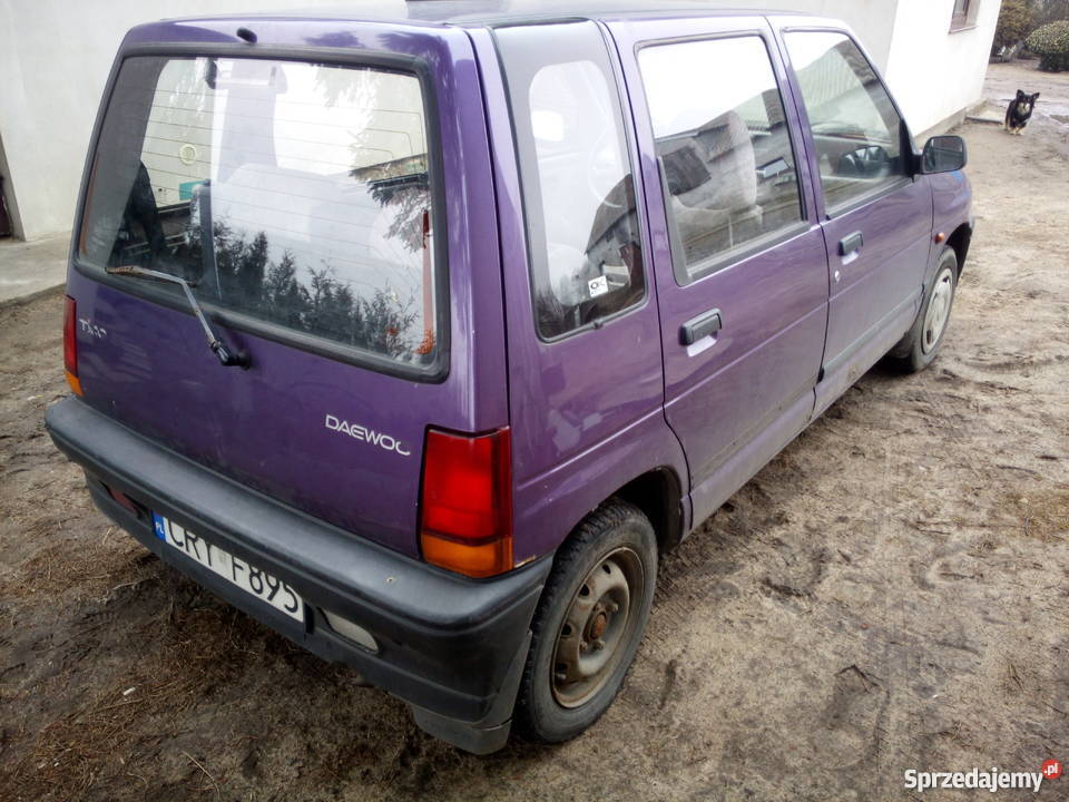 Daweo Tico Tico kujawsko-pomorskie Rypin