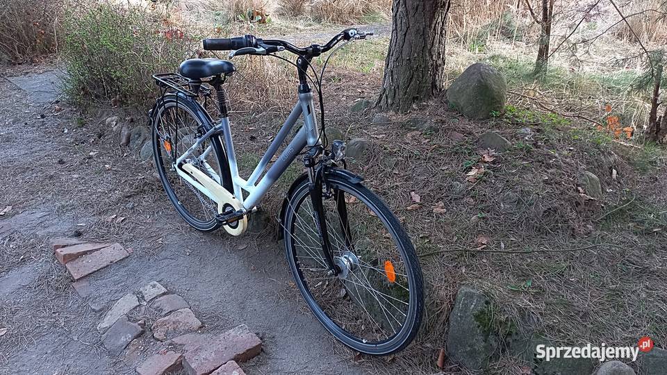 Alu Rower Miejski Damski Curtis Damka Nexus 7 Wołów