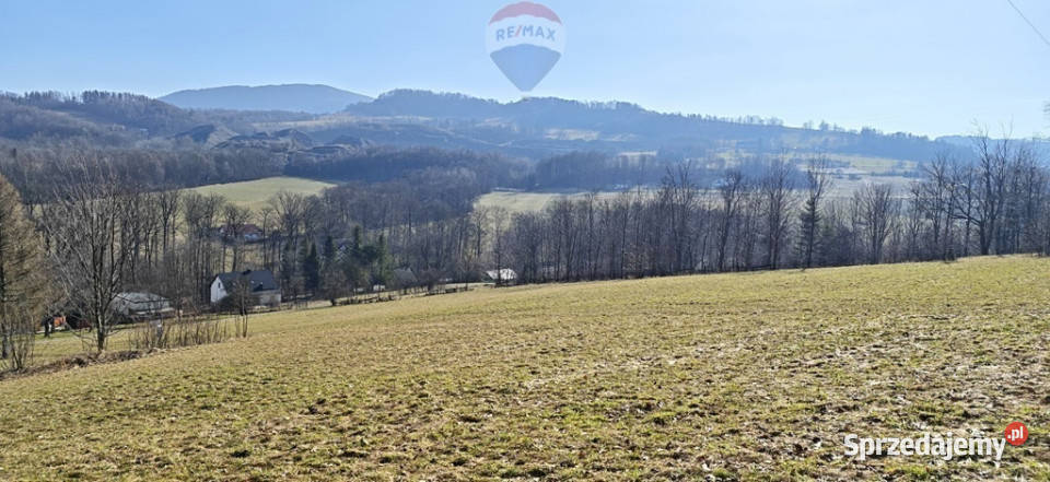 Działka budowlana pod lasem Dzięgielów sprzedam