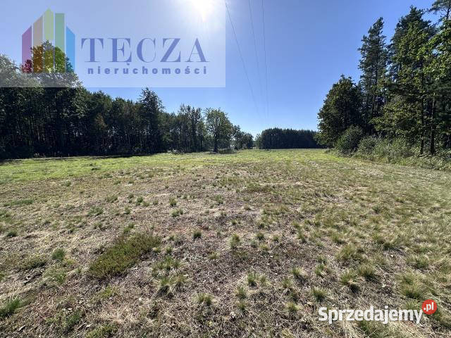 Działka 1800m2 Borucza