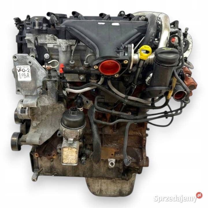 SILNIK LPBA Ford Mondeo IV MK4 20 TDCI 115 lubelskie
