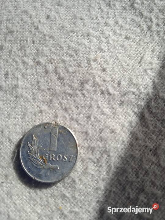 1 grosz z 1949 roku Pozostałe Nowy Sącz sprzedam