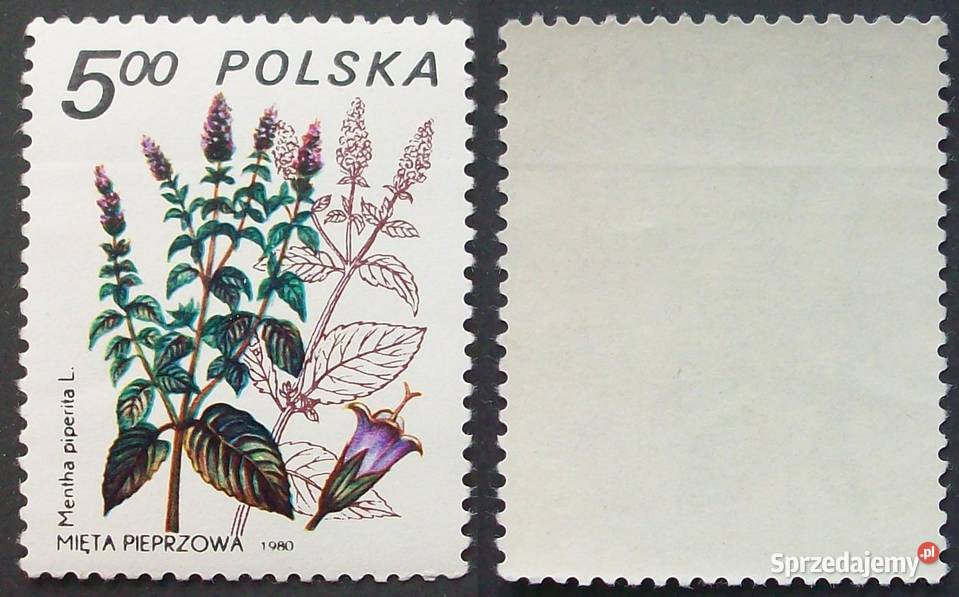 L Znaczki polskie 1980 kwartał III Leźnica Wielka-Osiedle