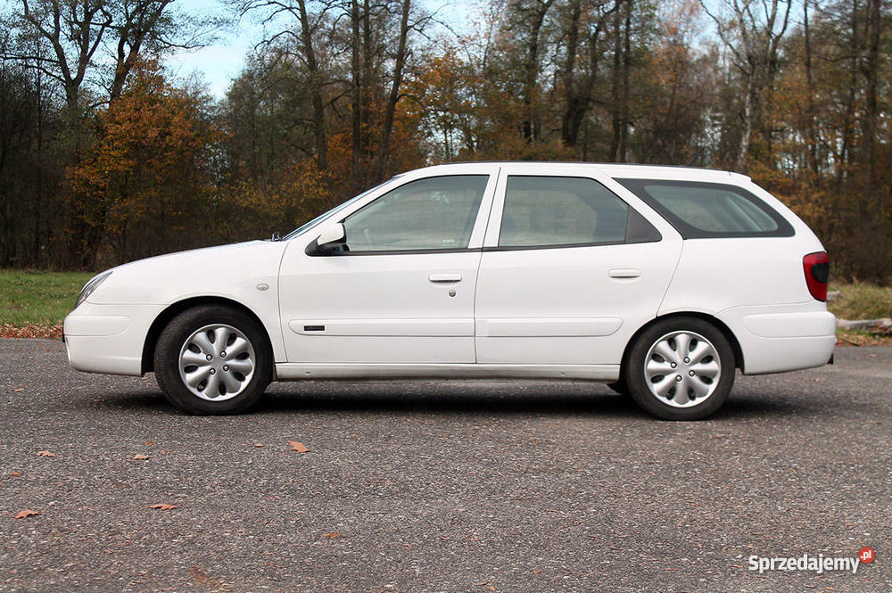 Citroen Xsara II 2004 20HDI rdzy światła przeciwmgłowe Xsara Tarnowskie Góry