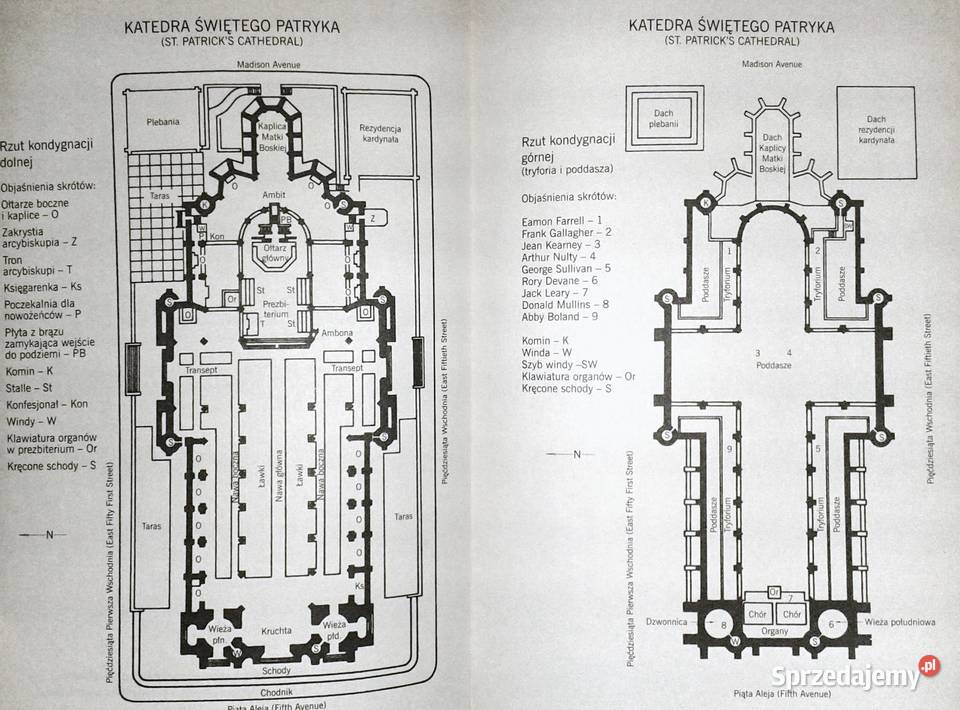 Katedra Nelson DeMille Chełm
