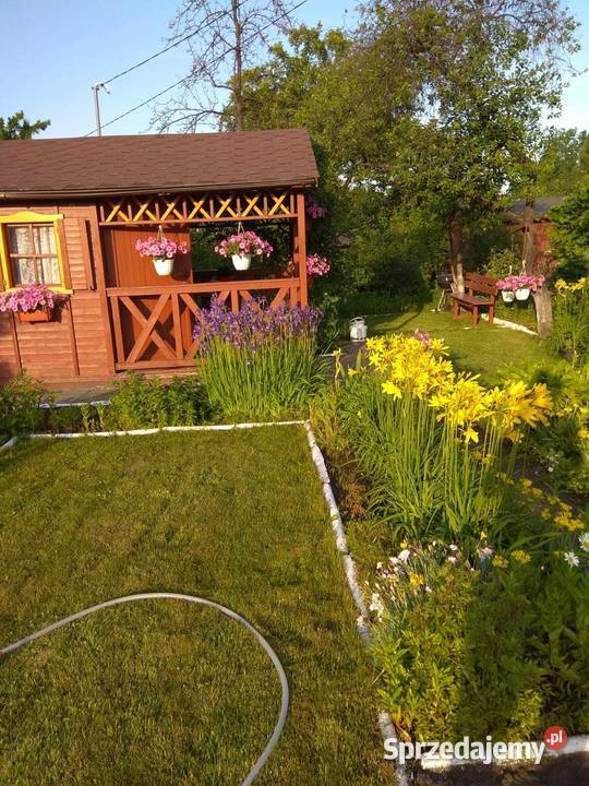 Działka RODO 300m2 położona w Ogrodzie 10 w rekreacyjna Starachowice