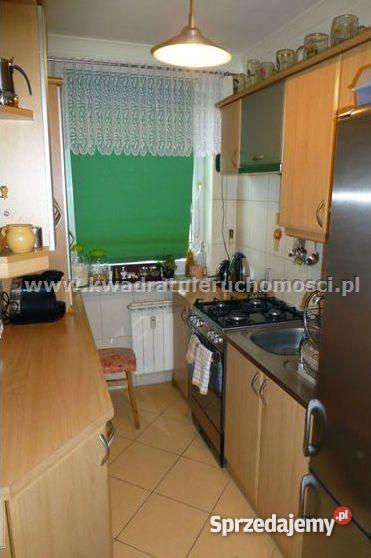 mieszkanie 5400m2 3 pokoje Knurów Knurów