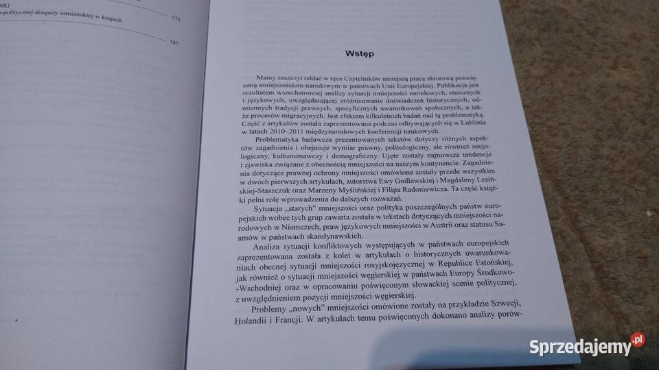 Mniejszości narodowe w państwach Unii Gdańsk