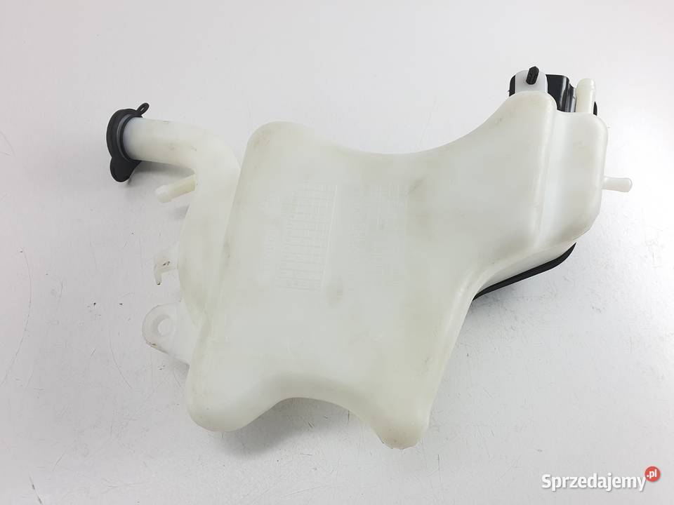 Zbiorniczek Wyrownawczy Plynu Triumph Speed Łódź