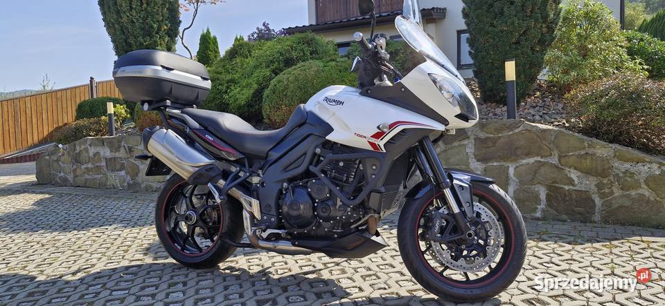 Triumph Tiger Sport Triumph Lubień