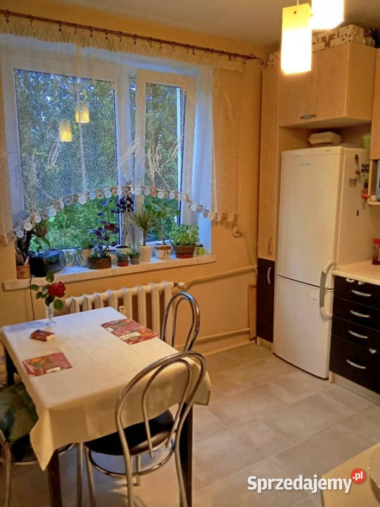 Mieszkanie 48m2garażpomieszczenie gospodarcze w Kałuszyn