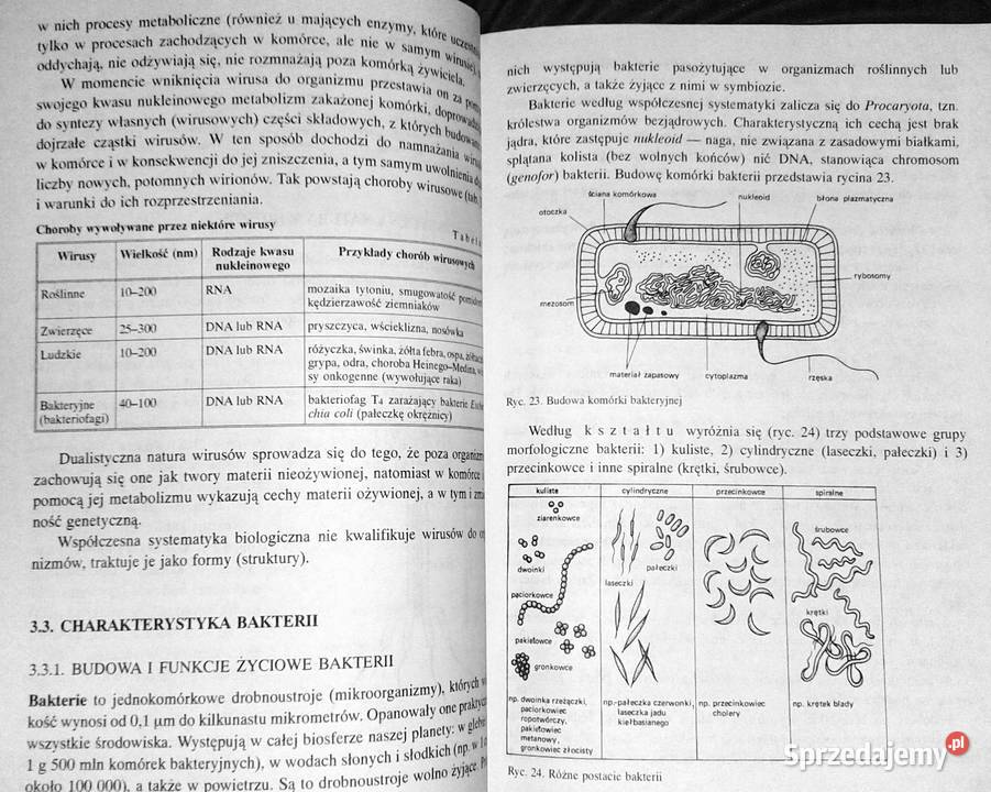 Biologia Vademecum maturzysty Ewa PyłkaGutowska
