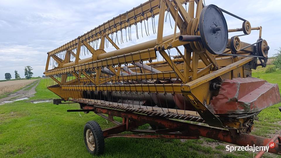 Bizon Z056 wielkopolskie Kłodawa