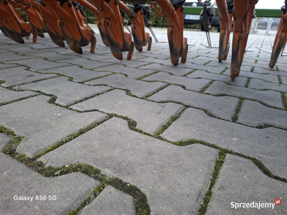 Siewnik amazone d9 specjal wielkopolskie Września