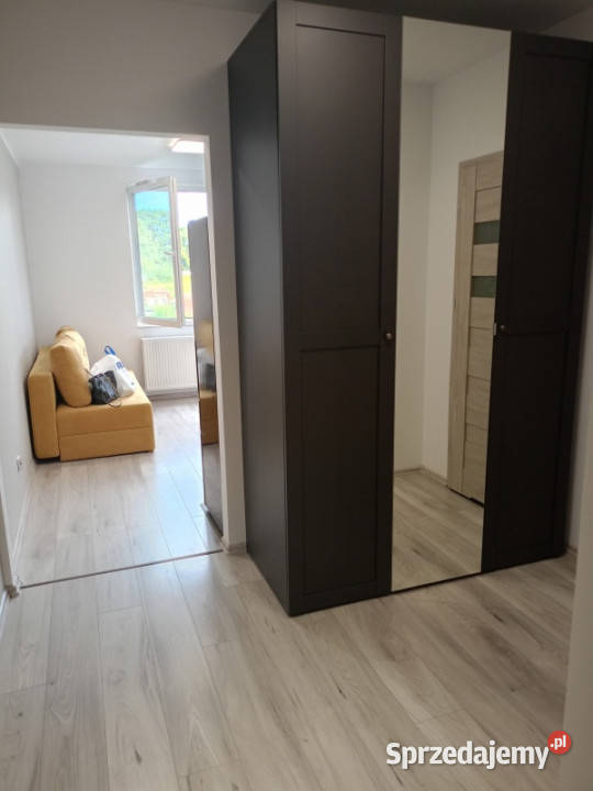 Wynajmę mieszkanie 315 m2 garaż Kraków