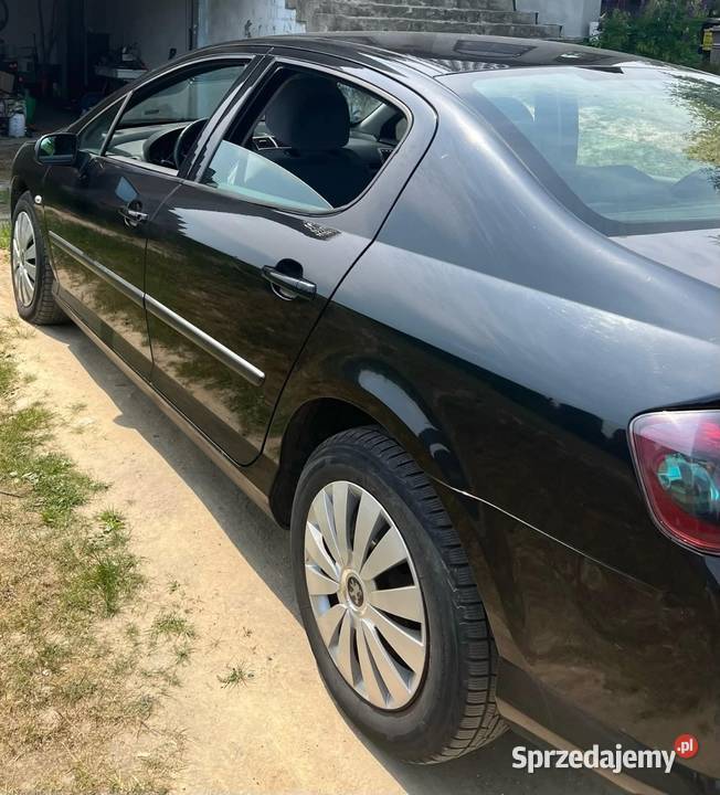 Peugeot 407 Sienno