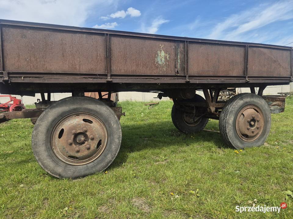 Przyczepa sztywna d35 Samborzec sprzedam