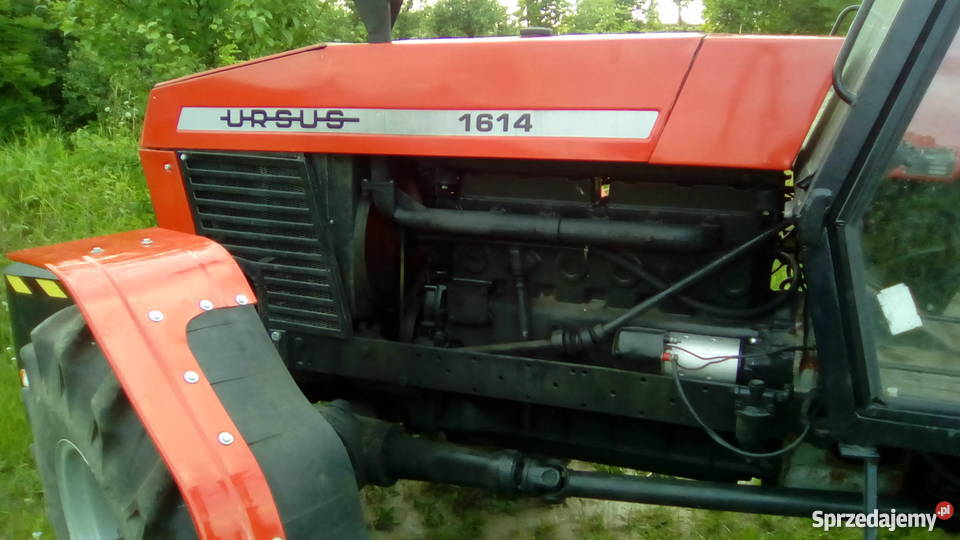 Ursus 1204 Zarejestrowany nie 1224 12145 Zetor warmińsko-mazurskie Elbląg sprzedam