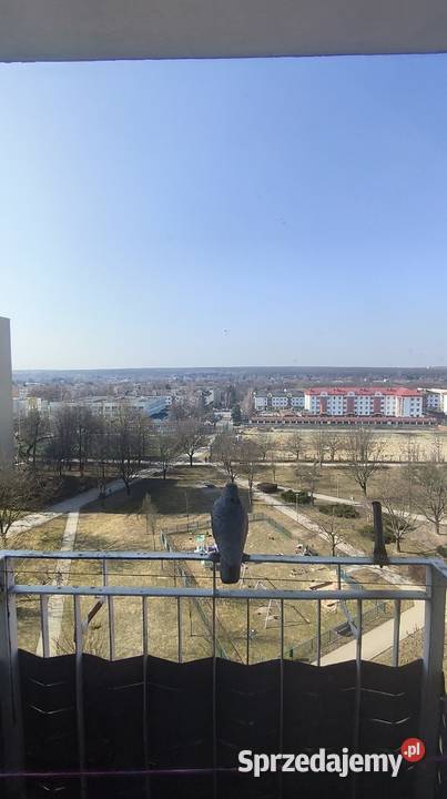 Mieszkanie oś Nałkowskich spółdzielcze własnościowe z KW Lublin