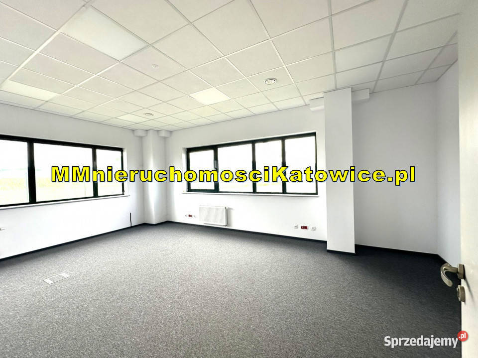 Lokal Ruda Śląska 13147m2