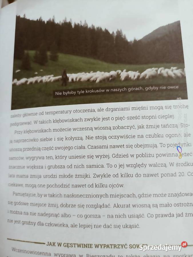 Wajrak książki Wielka księga prawdziwych literatura piękna - proza polska Warszawa sprzedam