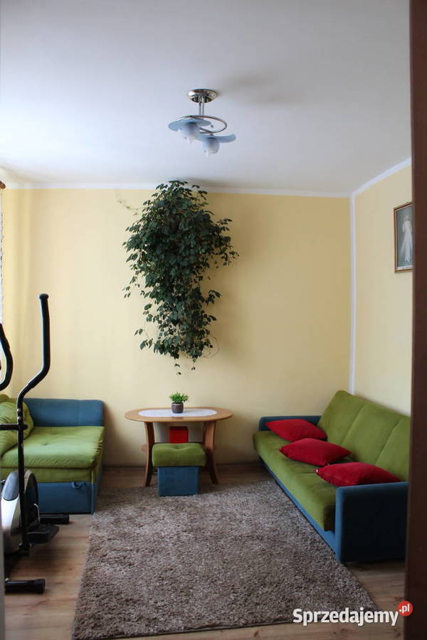 Siedlisko w Silcu dom jednorodzinny na sprzedaż Silec