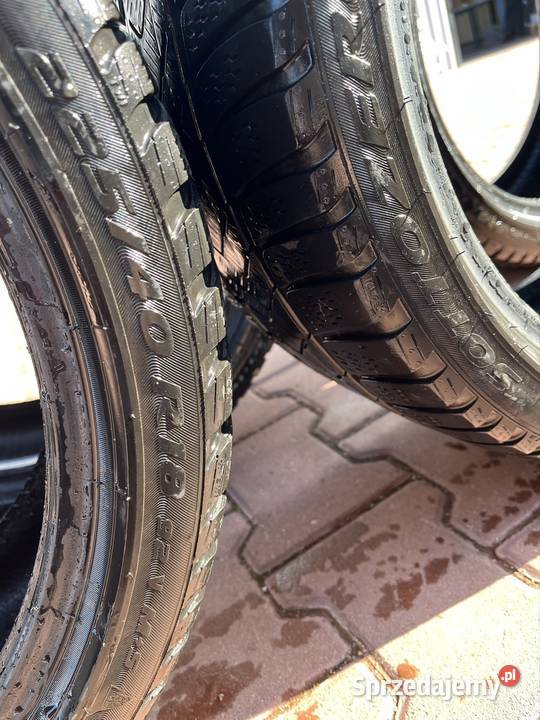 Opony łódzkie Dąbrowa