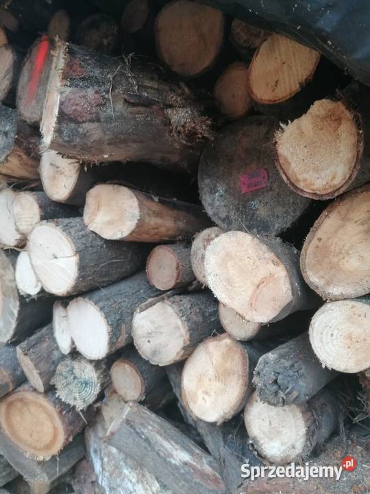 Drewno opalowe Kobiór