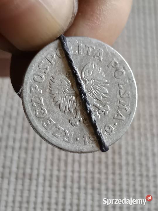 Sprzedam monete 50 gr 1949 r vbnnn Numizmatyka Numizmatyka lubelskie Chełm